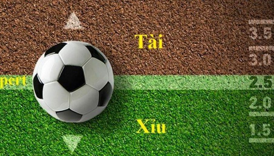 Top Link Tài Xỉu Online Uy Tín Nhất 2025 Cho Tân Thủ Cách thức đặt cược hiệu quả khi chơi kèo tài xỉu 2 25